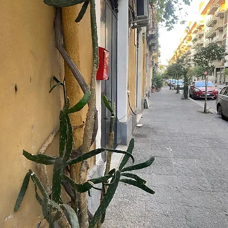 Superior & Guest house Catania